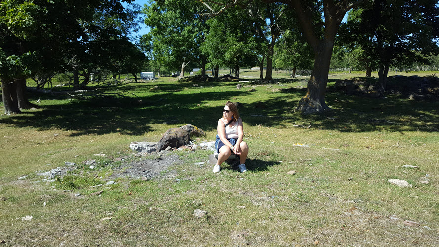 news_menu_img_20250325_111038 Holmbogarden 201911.JPG